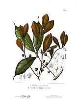  no thumbnail available