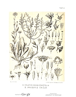  no thumbnail available