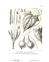  no thumbnail available