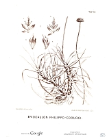  no thumbnail available