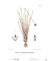  no thumbnail available