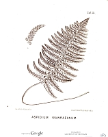  no thumbnail available