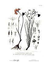  no thumbnail available