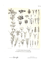  no thumbnail available