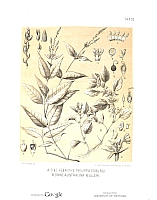  no thumbnail available