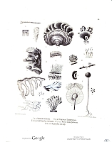  no thumbnail available