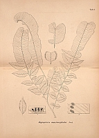  no thumbnail available