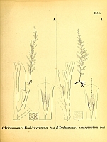  no thumbnail available