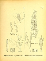  no thumbnail available