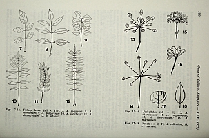  no thumbnail available