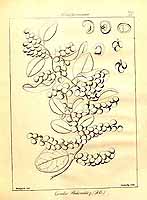  no thumbnail available