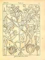  no thumbnail available