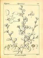  no thumbnail available