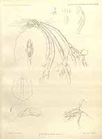  no thumbnail available