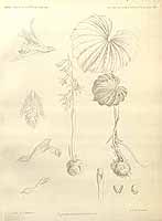  no thumbnail available