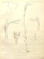  no thumbnail available