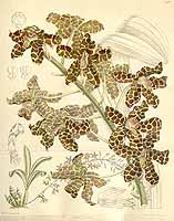  no thumbnail available