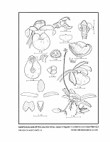 no HD illustration available (5) 