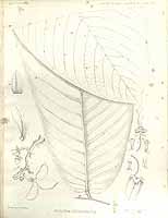  no thumbnail available