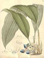  no thumbnail available