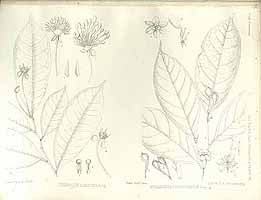  no thumbnail available