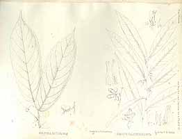  no thumbnail available