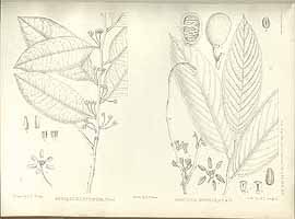  no thumbnail available