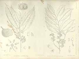  no thumbnail available