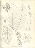  no thumbnail available