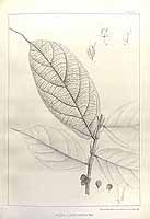  no thumbnail available