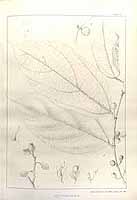  no thumbnail available