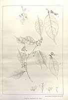  no thumbnail available