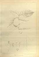  no thumbnail available