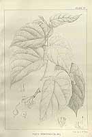  no thumbnail available