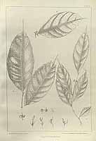  no thumbnail available