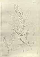  no thumbnail available