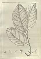  no thumbnail available