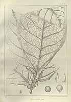  no thumbnail available