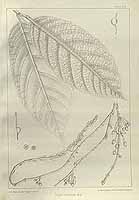  no thumbnail available