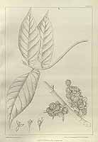  no thumbnail available