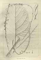  no thumbnail available