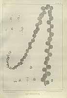  no thumbnail available