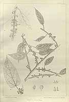  no thumbnail available