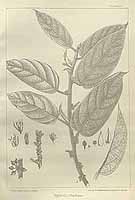  no thumbnail available