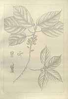  no thumbnail available