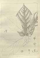  no thumbnail available