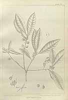  no thumbnail available