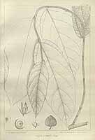  no thumbnail available