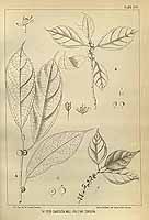  no thumbnail available