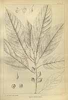  no thumbnail available